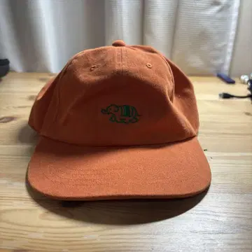Goodgoods 오렌지 캡