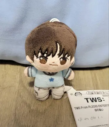 TWS 투어스 호와누이 JIHOON 지훈 봉제 인형