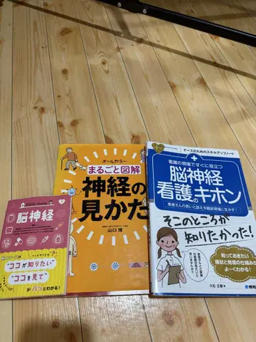 뇌신경 Ns 필수! 3종 세트