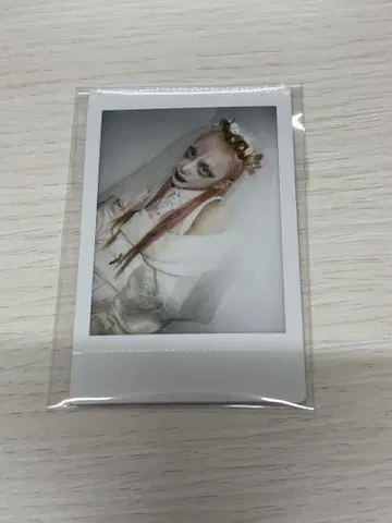 흠집 쿄노스케 폴라로이드 71