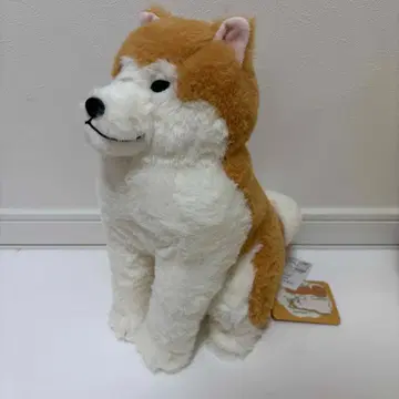 [ 훈훈한 아키타견 하치베 봉제 인형 ] 울트라 BIG 45cm