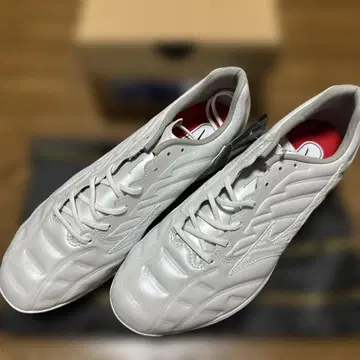 할인 불가 미즈노 프로 스파이크 스피드레보 프로 26.5cm
