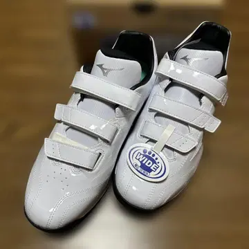 할인 불가 미즈노 트레이닝 슈즈 라이트레보 트레이너 27.5cm
