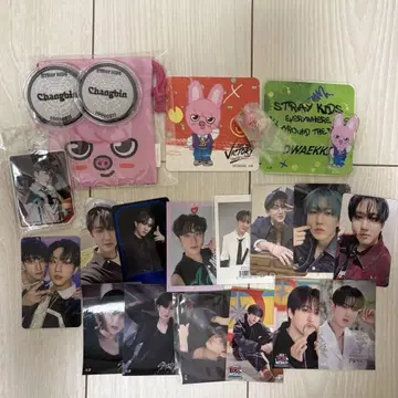 straykids 스키즈 창빈 굿즈 트레이딩 카드 스티커 세트