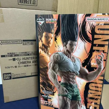 제일복권 HUNTER x HUNTER 라스트원상 곤 ~성장ver.~