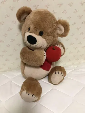 Suzy's Zoo 스지즈 붐 곰 봉제 인형