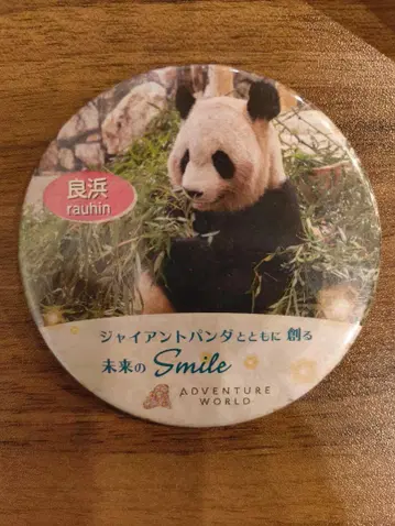 라오신 자이언트 팬더 캔뱃지