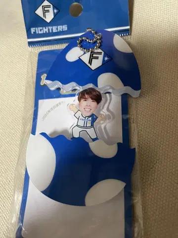 이소하타 료타 타마고형 키체인