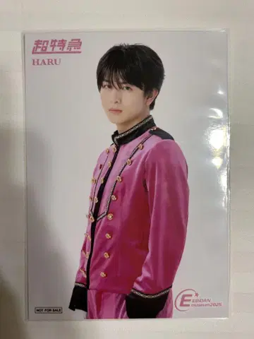하루 초특급 EBiDAN museum 입장 혜택 사진