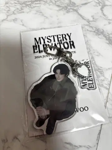 MYSTERY ELEVATOR 2024 키링 WOOWOO