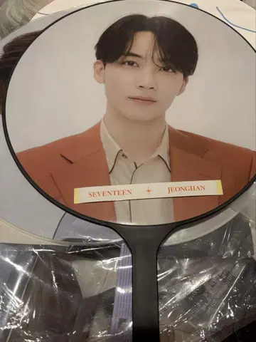 세븐틴 SEVENTEEN 정한 부채 비자선 BETHESUN