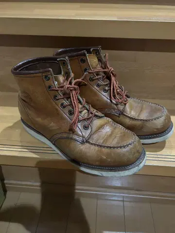 90s 레드윙 아이리쉬 세터 개 각인 빈티지