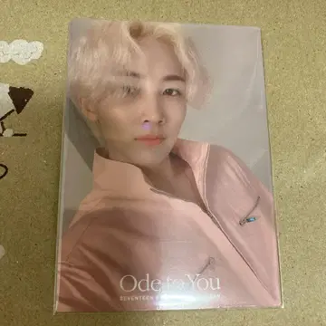 seventeen 정한