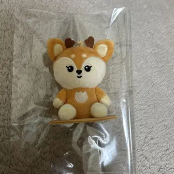 SEVENTEEN miniteen SHUASUMI 조슈아