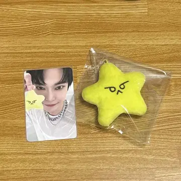 NCT127 도영 불가사리 별 키링 트레이딩 카드 포함 이리칠