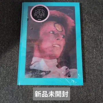 The Rise of David Bowie, 1972-1973