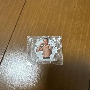 호리구치 쿄지 아크릴 스탠드 RIZIN 가챠