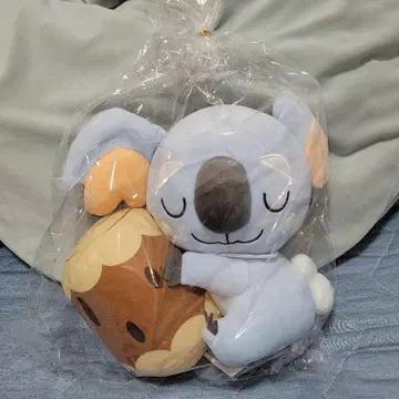포켓몬스터 봉제 인형 [네코알라]