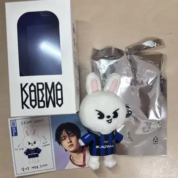straykids 리노 KARMA skzoo