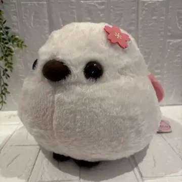 복복 시마연가 봄날의 절정 벚꽃