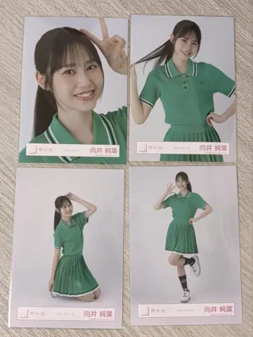 무카이 이토하 피케 셔츠 코디 컴프