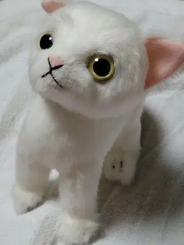 카드리 드롭스 일본제 고양이 봉제 인형