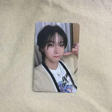 BOYNEXTDOOR 성호 whosfan cafe 트레이딩 카드