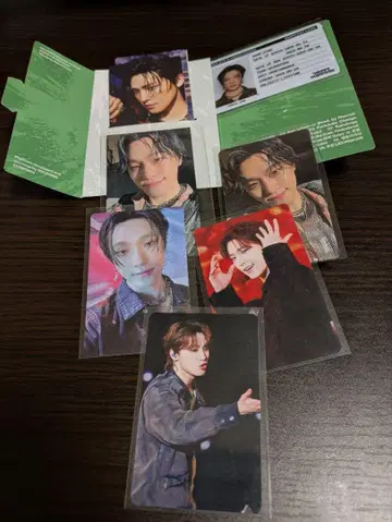 SEVENTEEN DINO