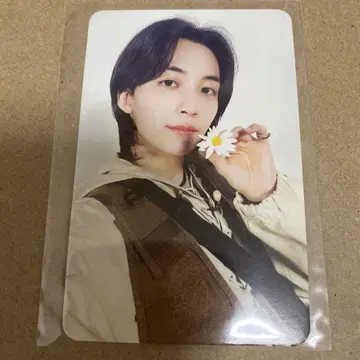 seventeen 정한