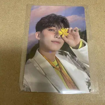 seventeen 정한