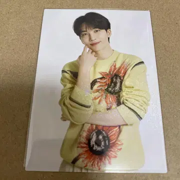 seventeen 정한