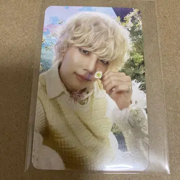 seventeen 정한