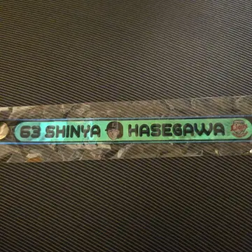 사이타마 세이부 라이온즈 오로라 블레스 하세가와 신야 선수