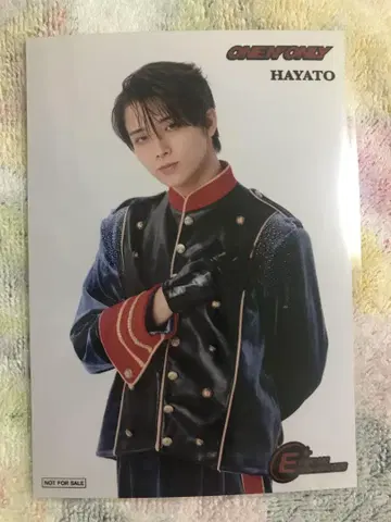 EBiDANmuseum 원엔 HAYATO 타카오 하야토 입장 혜택