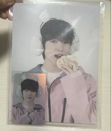 NCT nctwish 트레이딩 카드 사쿠야 nctzone MD 홀로그램