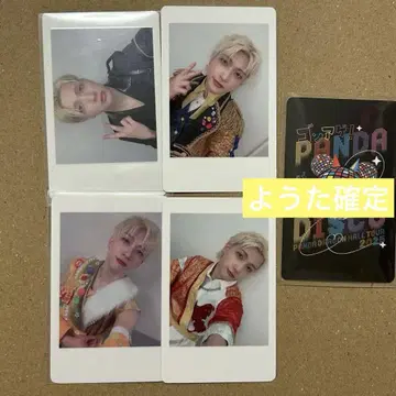 팬더 드래곤 파라곤 하피카 폴라로이드 트레이딩 카드 요우타