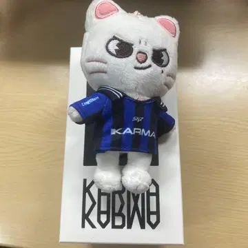 KARMA skzoo 현진 지니레트