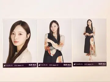 비대칭 우메자와 미나미 컴프