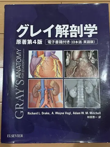 그레이 해부학 원저 제4판