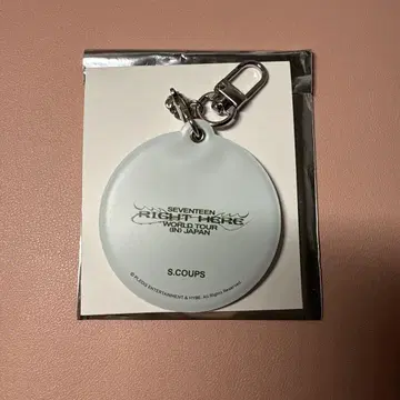 SEVENTEEN 세부치 에스크 RIGHT HERE 커버 키링