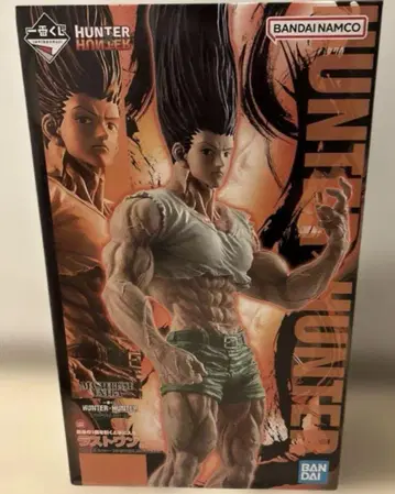 제일복권 HUNTER x HUNTER 라스트원상 곤 ~성장ver.~