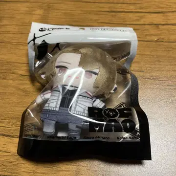 카가미 하야토 니지 파펫