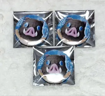 귀멸의 칼날 하시비라 이노스케 캔뱃지 미니대원 브로마이드 엽서 묶음 판매