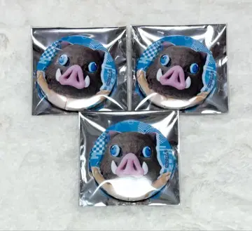 귀멸의 칼날 하시비라 이노스케 캔뱃지 미니대원 브로마이드 엽서 묶음 판매