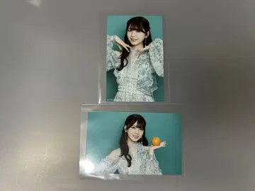 2019년 노기자카46 츠츠이 아야메 미니 브로마이드 세미 컴프
