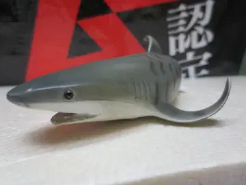 새상품 컬렉터 상어 시리즈 이타치샤크 타이거샤크 19cm 정품