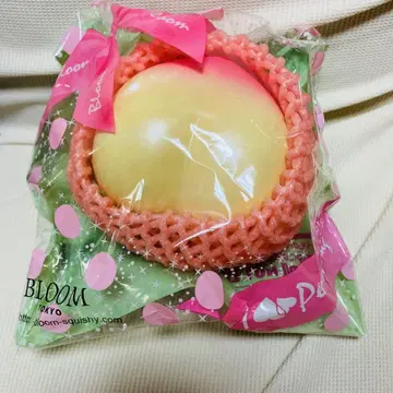 BLOOM x mooosh 스퀴즈 아이러브피치 빅