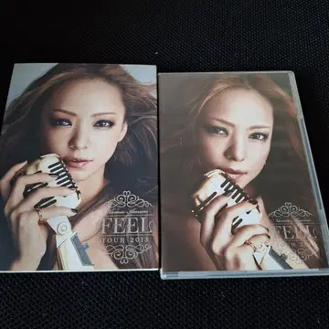 아무로 나미에/namie amuro FEEL tour 2013