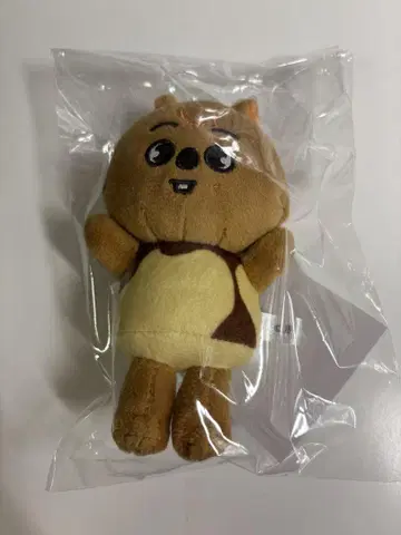 Stray Kids HAN QUOKKA 백참 푸딩