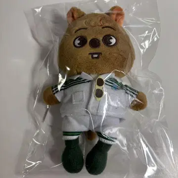Stray Kids HAN QUOKKA 팝업 백참